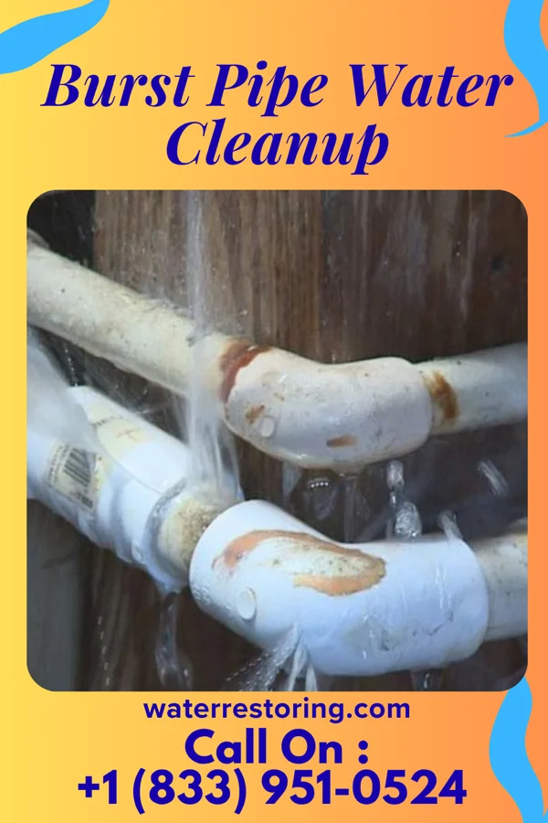 Burst Pipe Water Cleanup in Nortonville, KY