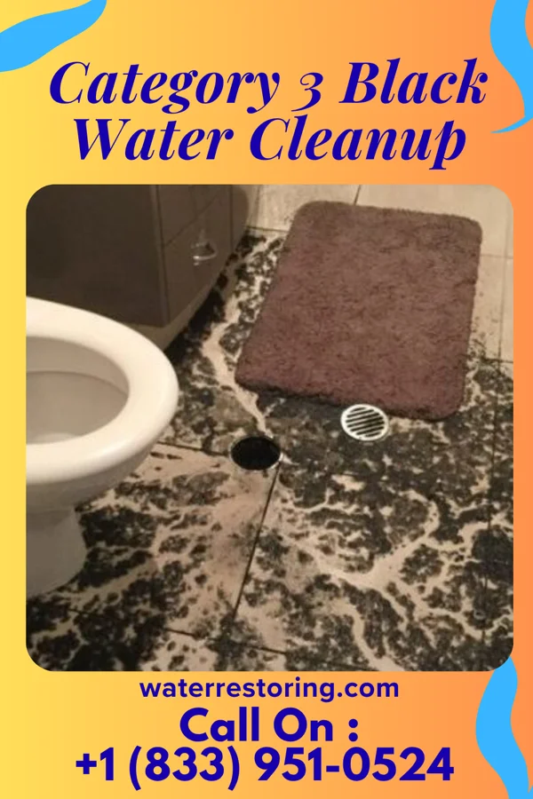 Category 3 Black Water Cleanup in Nortonville, KY