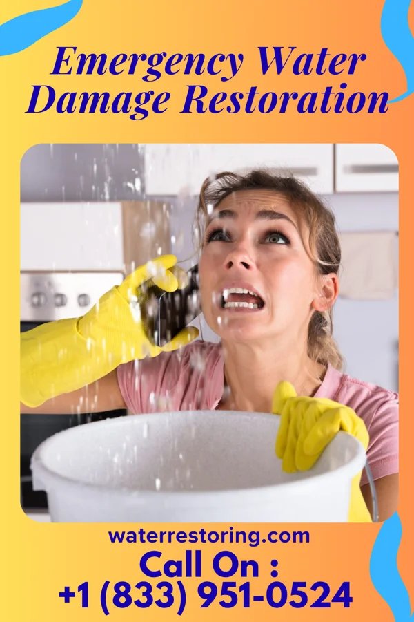 Emergency Water Damage Restoration in Nortonville, KY