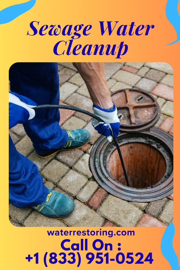 Sewage Water Cleanup in Nortonville, KY