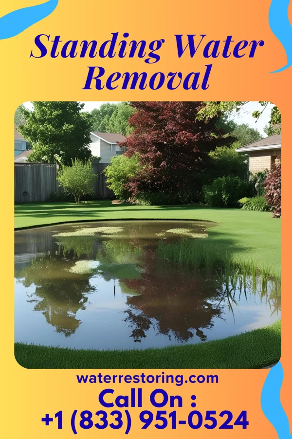 Standing Water Removal in Nortonville, KY